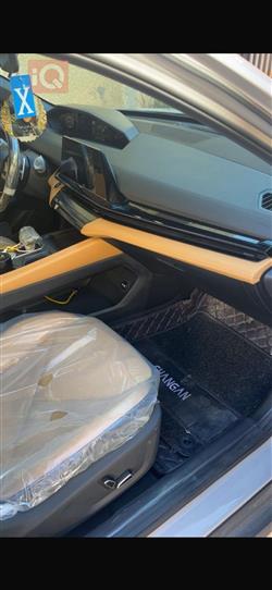 شانجان يوني في